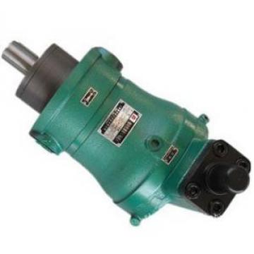 100YCY14-1B  high pressure piston pump supply