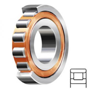 SKF N 215 ECP services Cylindrical Roller Bearings