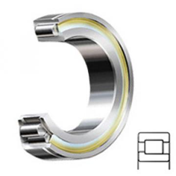INA SL192308 C3 services Cylindrical Roller Bearings