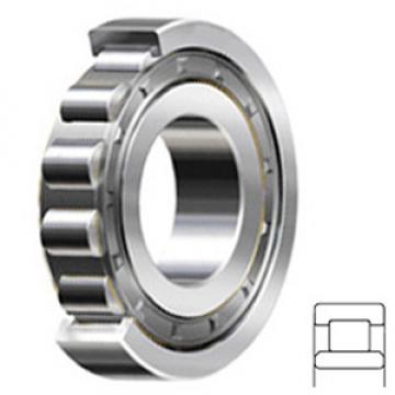 NSK NU2211W services Cylindrical Roller Bearings