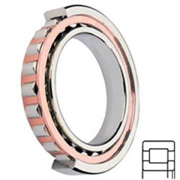 NSK NUP206ET services Cylindrical Roller Bearings