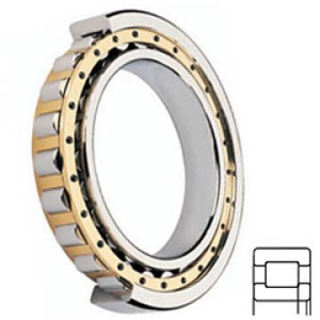 FAG BEARING NUP2322E.M1 services Cylindrical Roller Bearings