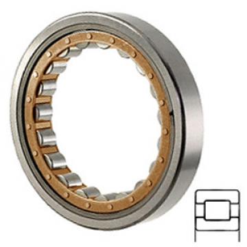 TORRINGTON 5238-WM Cylindrical Roller Bearings