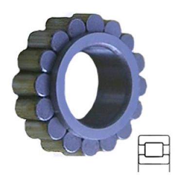 INA RSL182217 Cylindrical Roller Bearings