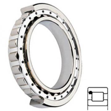 NTN MUF1306UGV services Cylindrical Roller Bearings