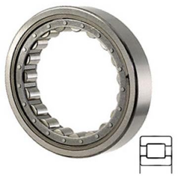 NTN M5213EX services Cylindrical Roller Bearings