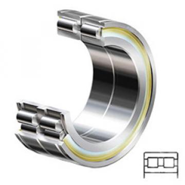INA SL014928 C3 services Cylindrical Roller Bearings