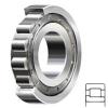 NSK NJ230W services Cylindrical Roller Bearings