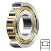 SKF NJ 326 ECM/C3 Cylindrical Roller Bearings #1 small image
