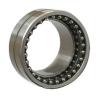 INA NX10 services Thrust Roller Bearing