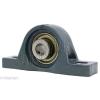 SUCP203-17m-PBT Stainless Steel Pillow Block 17mm Mounted Bearings Rolling