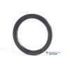 Oil Seal (Rotary Shaft 22mm) 22x28x4mm to 22x47x7mm TTO Nak Other #1 small image
