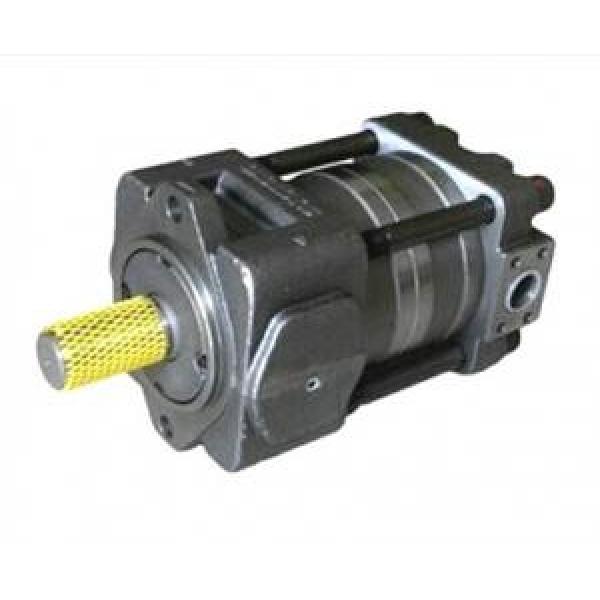 QT52-40L-A QT Series Gear Pump #1 image