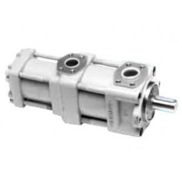 QT4323-20-6.3F QT Series Double Gear Pump #1 image