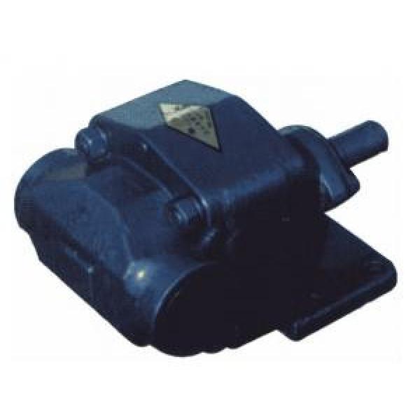 BCB Series Gear Oil Pump BCB-125/1.6 #1 image