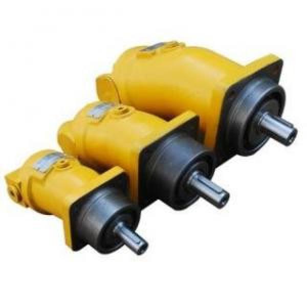 A2F23R3Z4 A2F Series Fixed Displacement Piston Pump supply #1 image