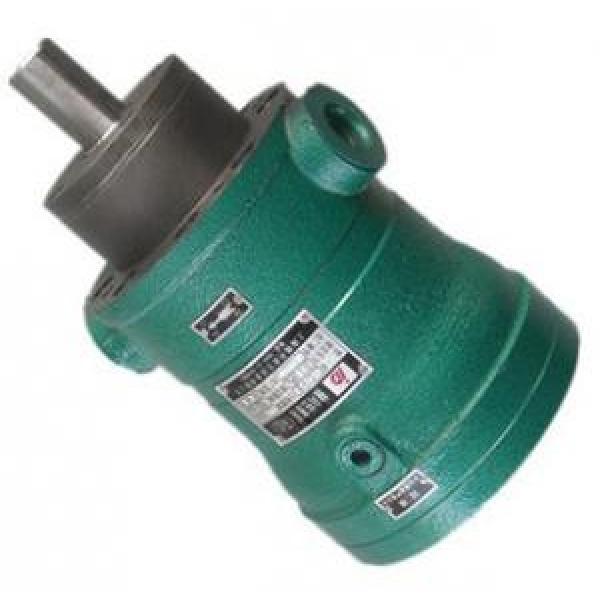 2.5MCY14-1B  fixed displacement piston pump supply #1 image