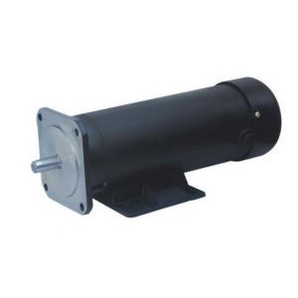 123ZYT Series Electric DC Motor  123ZYT-220-600-1700 #1 image