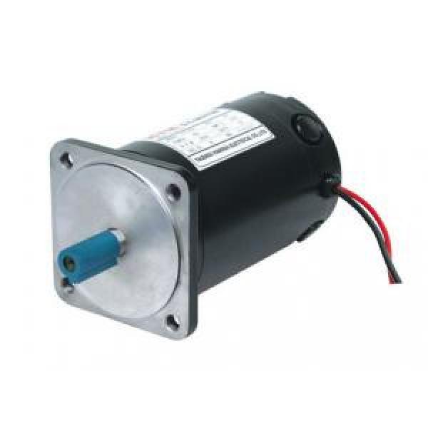 100ZYT Series Electric DC Motor 100ZYT24-100-1900 #1 image