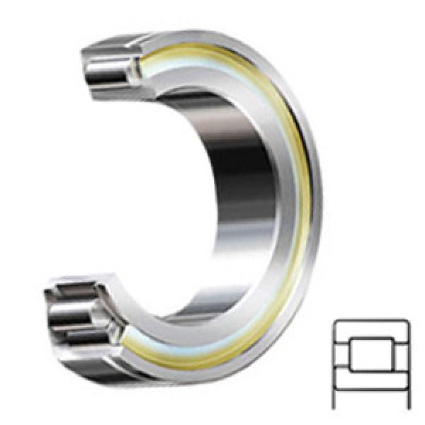 INA SL192308 services Cylindrical Roller Bearings #1 image