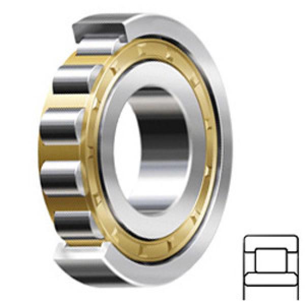 SKF NU 324 ECM/C3 Cylindrical Roller Bearings #1 image