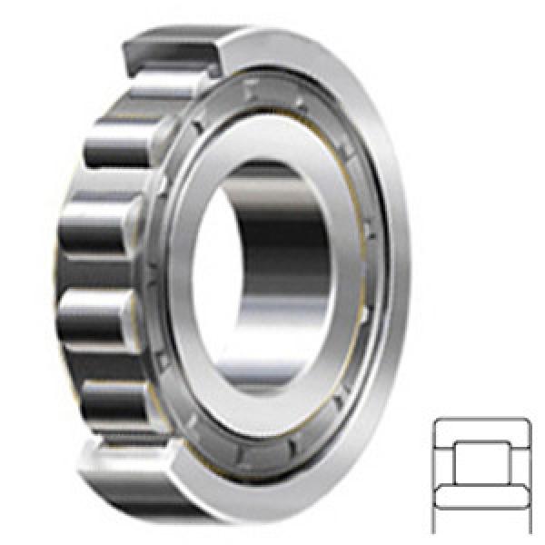 NSK NU411W services Cylindrical Roller Bearings #1 image