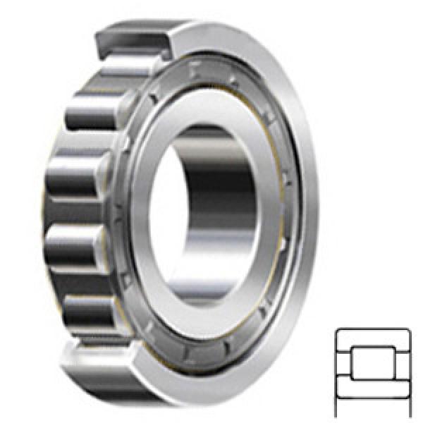 NSK NJ413W services Cylindrical Roller Bearings #1 image