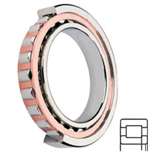 FAG BEARING NUP209-E-TVP2-C3 services Cylindrical Roller Bearings #1 image