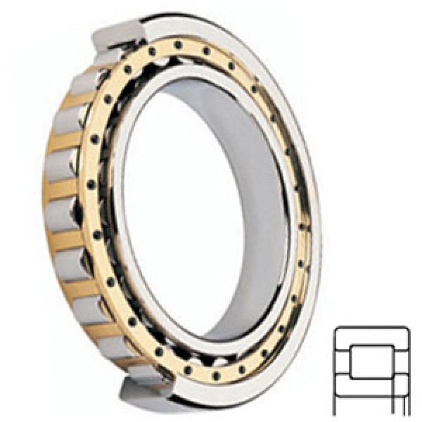 FAG BEARING NUP214-E-M1 services Cylindrical Roller Bearings #1 image