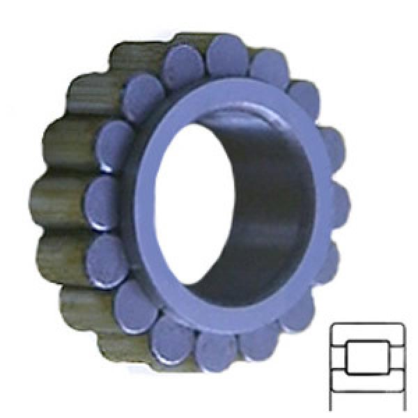 INA RSL182307 Cylindrical Roller Bearings #1 image