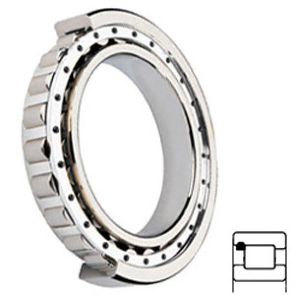 NTN MUF1306UGV services Cylindrical Roller Bearings #1 image