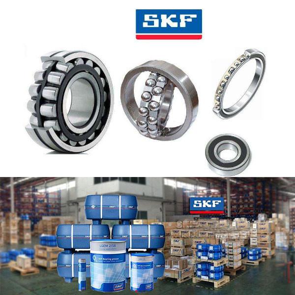 SKF distributors services in Singapore #1 image